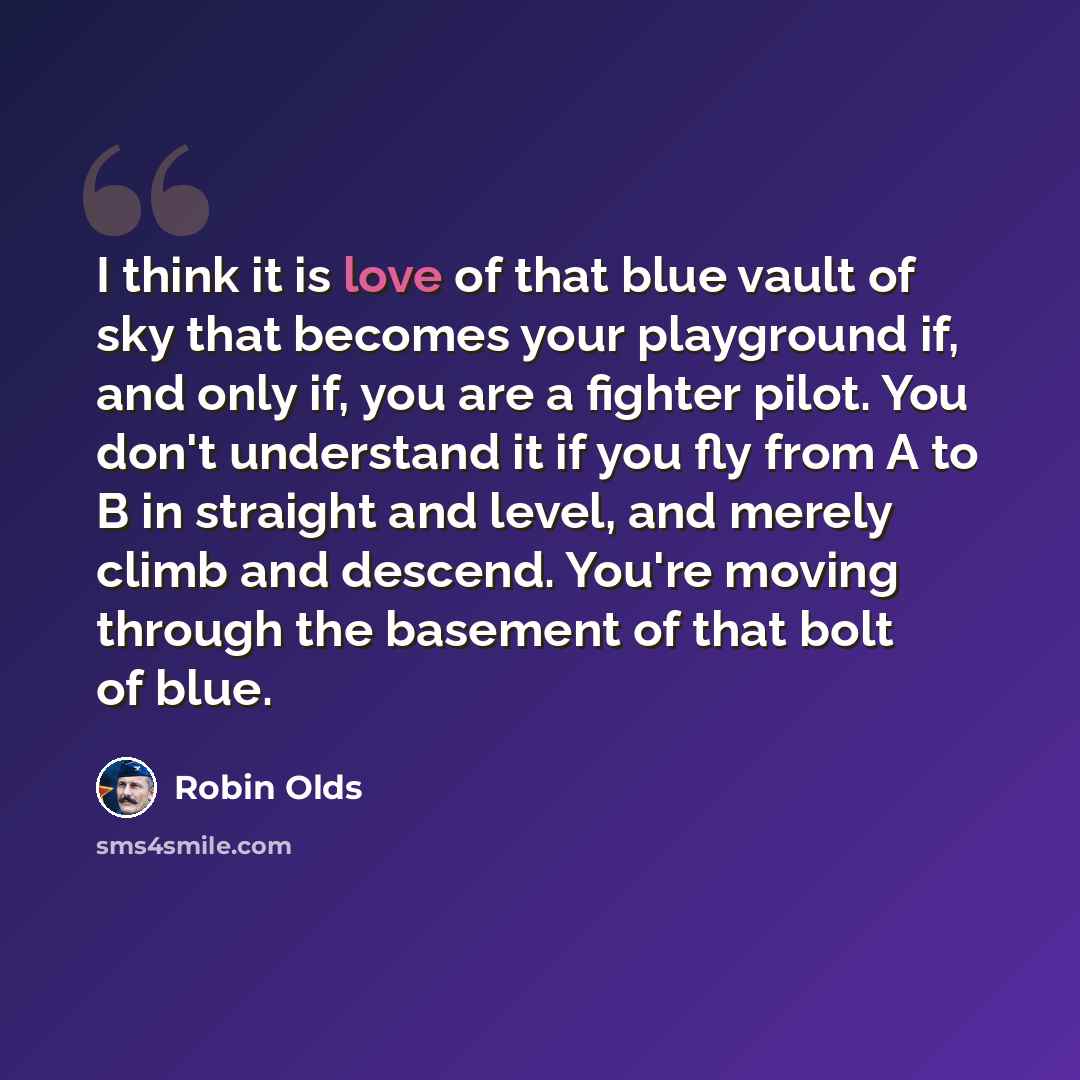 “I think it is love of that blue vault of sky that becomes your playground if, and only if, you are a fighter pilot. You don't understand it if you fly from A to B in straight and level, and merely climb and descend. You're moving through the basement of that bolt of blue.” quote by Robin Olds
