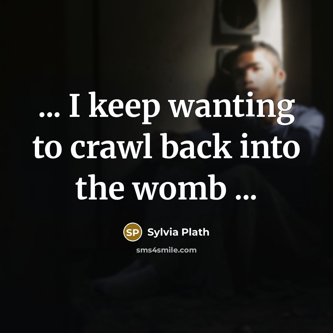 “... I keep wanting to crawl back into the womb ...” quote by Sylvia Plath