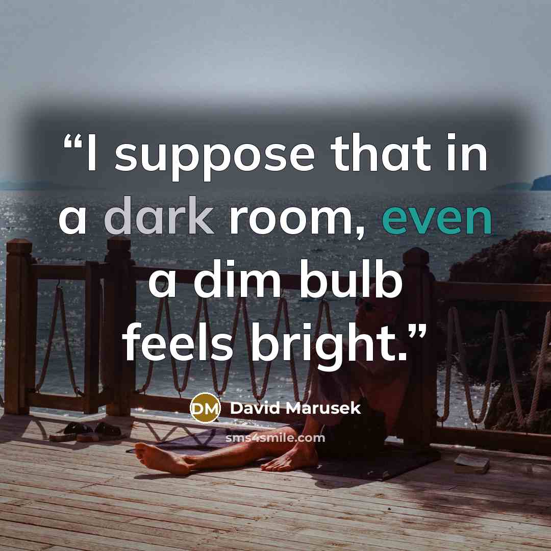 “I suppose that in a dark room, even a dim bulb feels bright.” quote by David Marusek