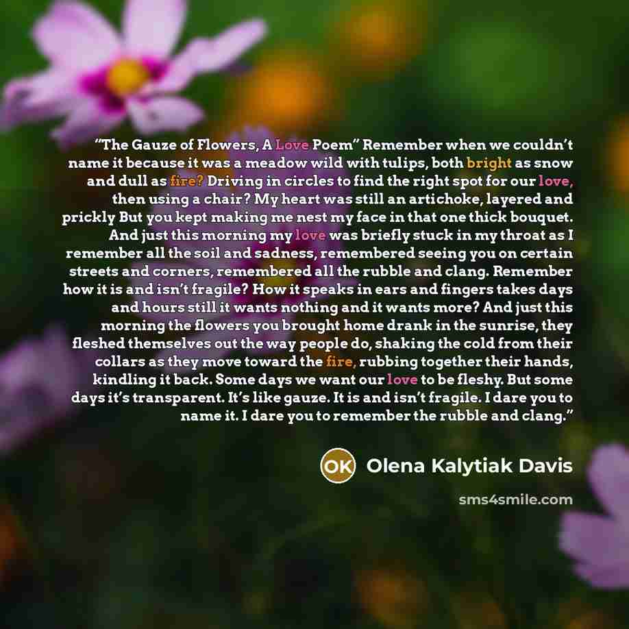“The Gauze of Flowers, A Love Poem” Remember when we couldn’t name it because it was a meadow wild with tulips, both bright as snow and dull as fire? Driving in circles to find the right spot for our love, then using a chair? My heart was still an artichoke, layered and prickly But you kept making…” quote by Olena Kalytiak Davis