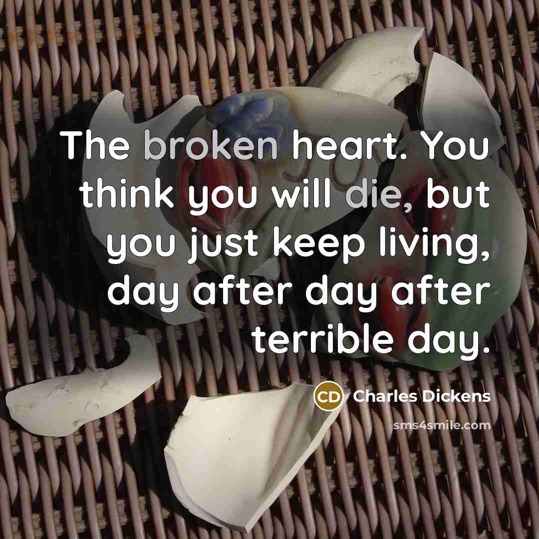 “The broken heart. You think you will die, but you just keep living, day after day after terrible day.” quote by Charles Dickens