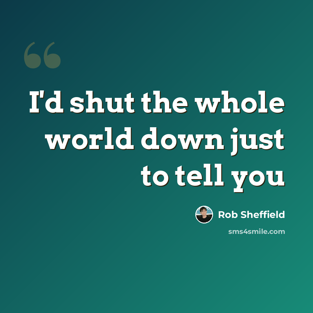 “I'd shut the whole world down just to tell you” quote by Rob Sheffield
