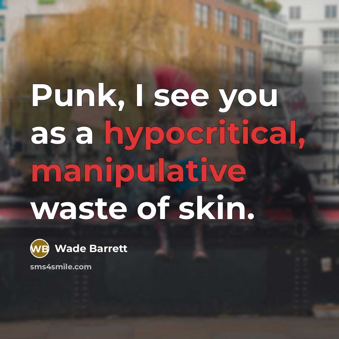 “Punk, I see you as a hypocritical, manipulative waste of skin.” quote by Wade Barrett