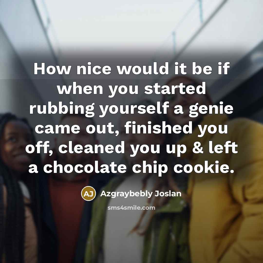“How nice would it be if when you started rubbing yourself a genie came out, finished you off, cleaned you up & left a chocolate chip cookie.” quote by Azgraybebly Joslan