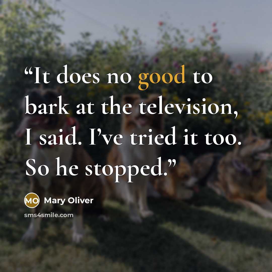 “It does no good to bark at the television, I said. I’ve tried it too. So he stopped.” quote by Mary Oliver