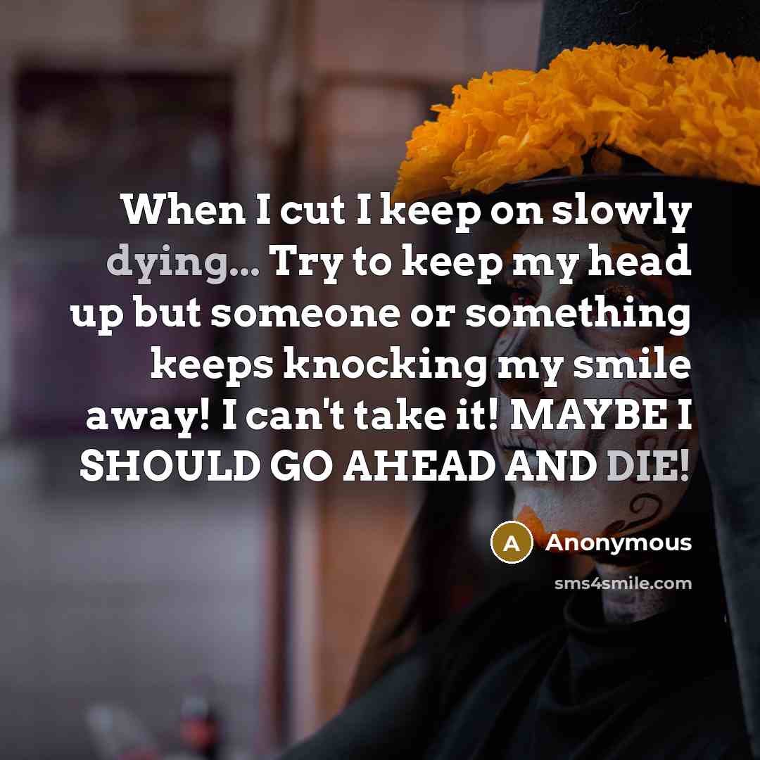 “When I cut I keep on slowly dying... Try to keep my head up but someone or something keeps knocking my smile away! I can't take it! MAYBE I SHOULD GO AHEAD AND DIE!” quote by Anonymous