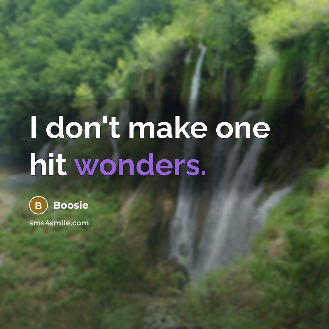 “I don't make one hit wonders.” quote by Boosie