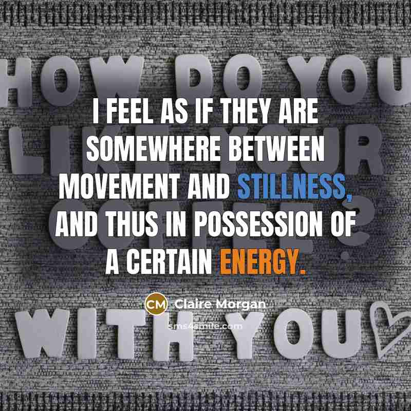 “I feel as if they are somewhere between movement and stillness, and thus in possession of a certain energy.” quote by Claire Morgan