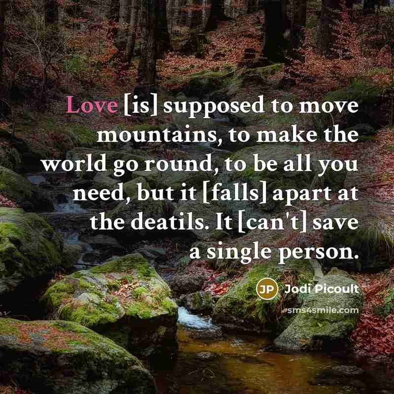 “Love [is] supposed to move mountains, to make the world go round, to be all you need, but it [falls] apart at the deatils. It [can't] save a single person.” quote by Jodi Picoult