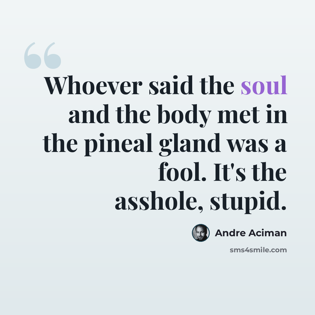 “Whoever said the soul and the body met in the pineal gland was a fool. It's the asshole, stupid.” quote by André Aciman