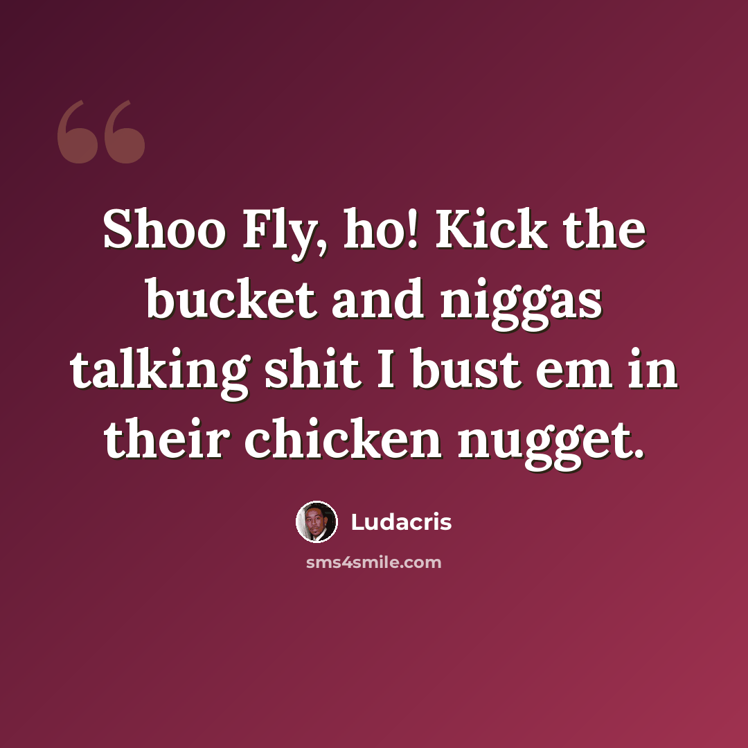 “Shoo Fly, ho! Kick the bucket and niggas talking shit I bust em in their chicken nugget.” quote by Ludacris
