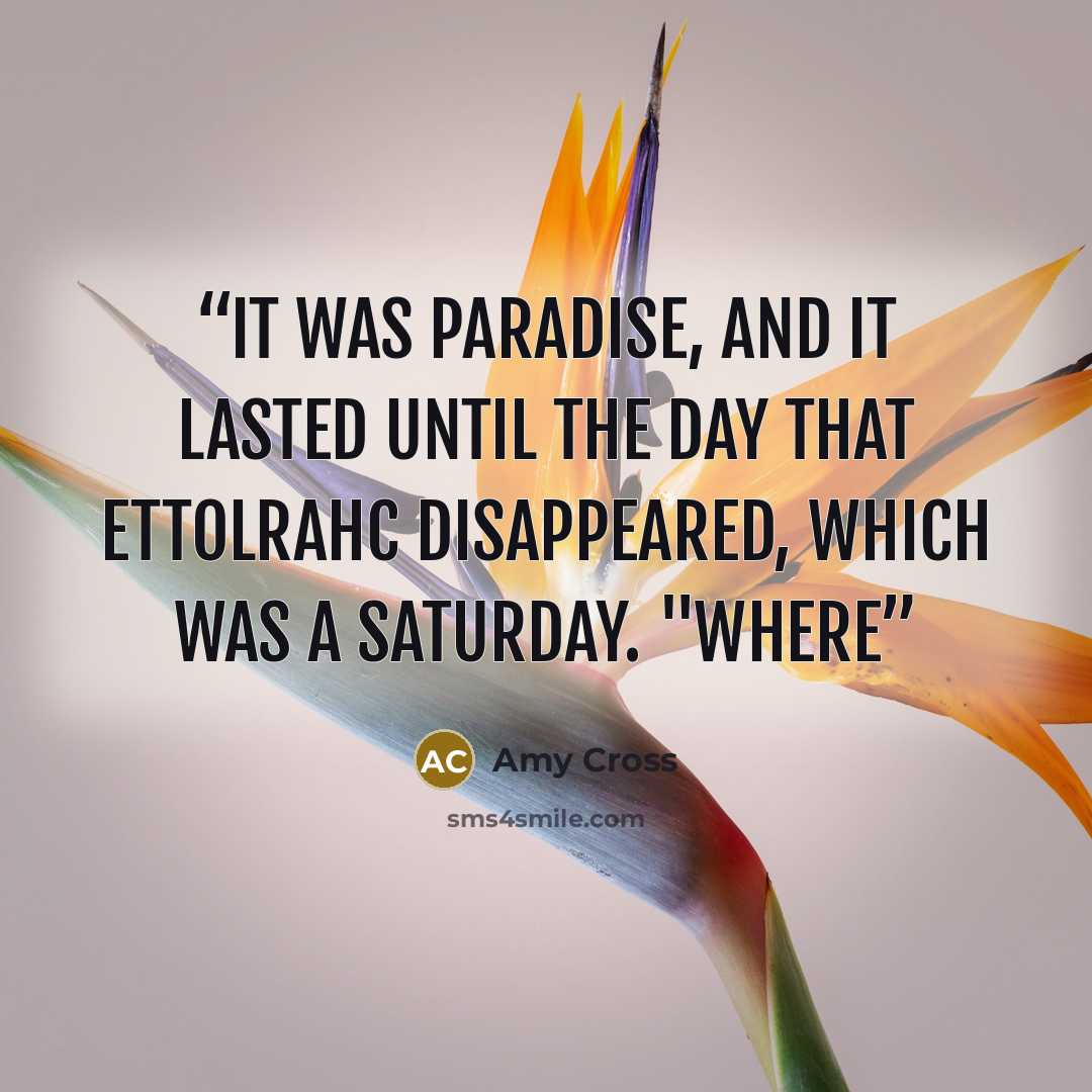 “It was paradise, and it lasted until the day that Ettolrahc disappeared, which was a Saturday. "Where” quote by Amy Cross
