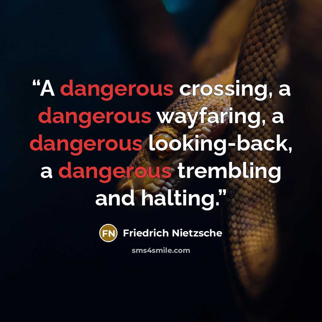 “A dangerous crossing, a dangerous wayfaring, a dangerous looking-back, a dangerous trembling and halting.” quote by Friedrich Nietzsche