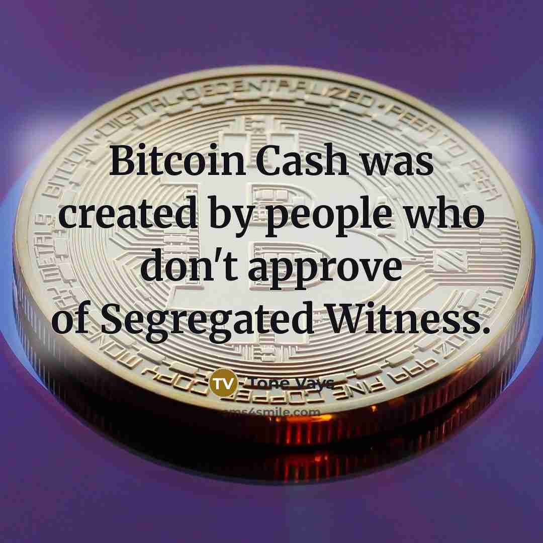 “Bitcoin Cash was created by people who don't approve of Segregated Witness.” quote by Tone Vays