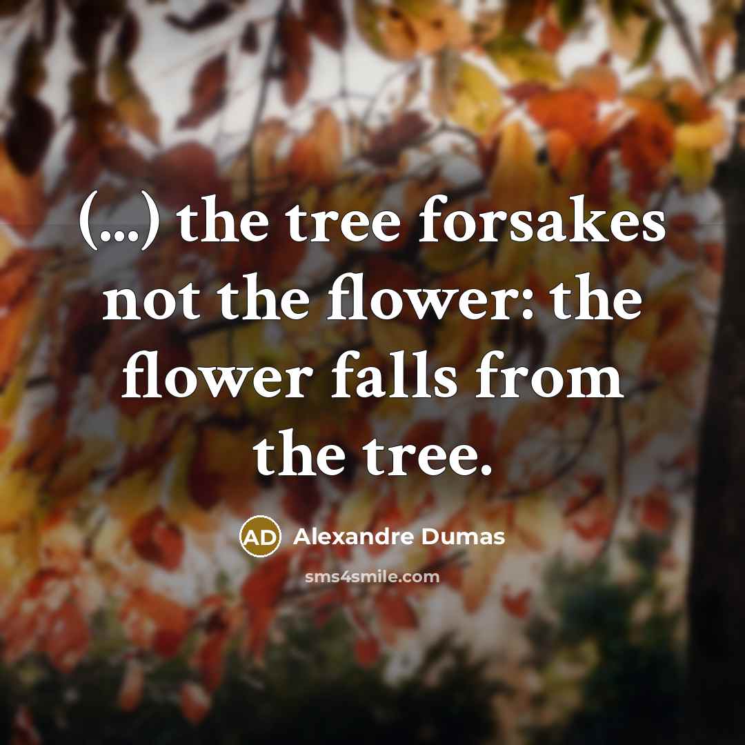 “(...) the tree forsakes not the flower: the flower falls from the tree.” quote by Alexandre Dumas