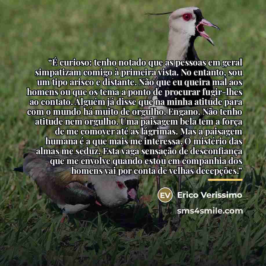 “É curioso: tenho notado que as pessoas em geral simpatizam comigo à primeira vista. No entanto, sou um tipo arisco e distante. Não que eu queira mal aos homens ou que os tema a ponto de procurar fugir-lhes ao contato. Alguém já disse que na minha atitude para com o mundo há muito de orgulho…” quote by Erico Verissimo