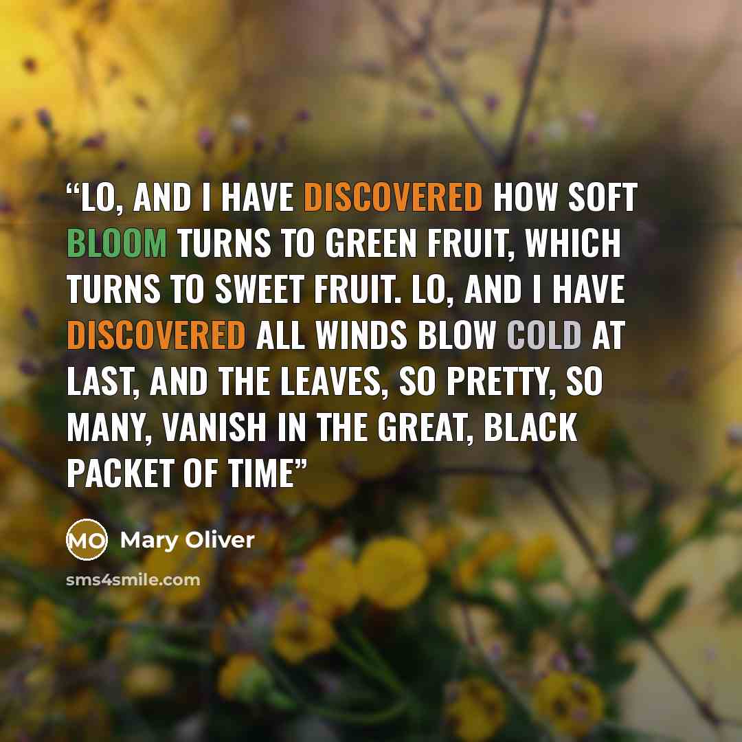 “Lo, and I have discovered how soft bloom turns to green fruit, which turns to sweet fruit. Lo, and I have discovered all winds blow cold at last, and the leaves, so pretty, so many, vanish in the great, black packet of time” quote by Mary Oliver