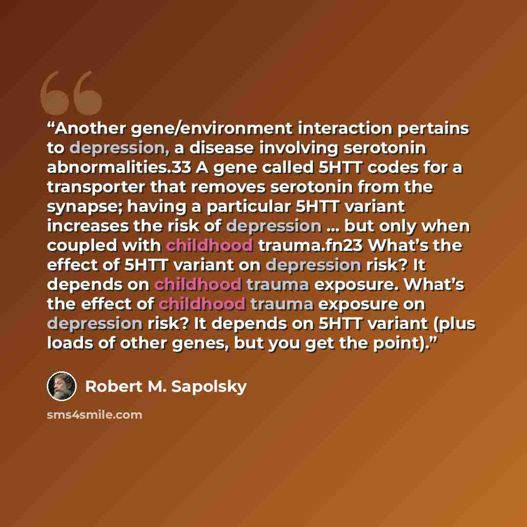 “Another gene/environment interaction pertains to depression, a disease involving serotonin abnormalities.33 A gene called 5HTT codes for a transporter that removes serotonin from the synapse; having a particular 5HTT variant increases the risk of depression … but only when coupled with childhood…” quote by Robert M. Sapolsky