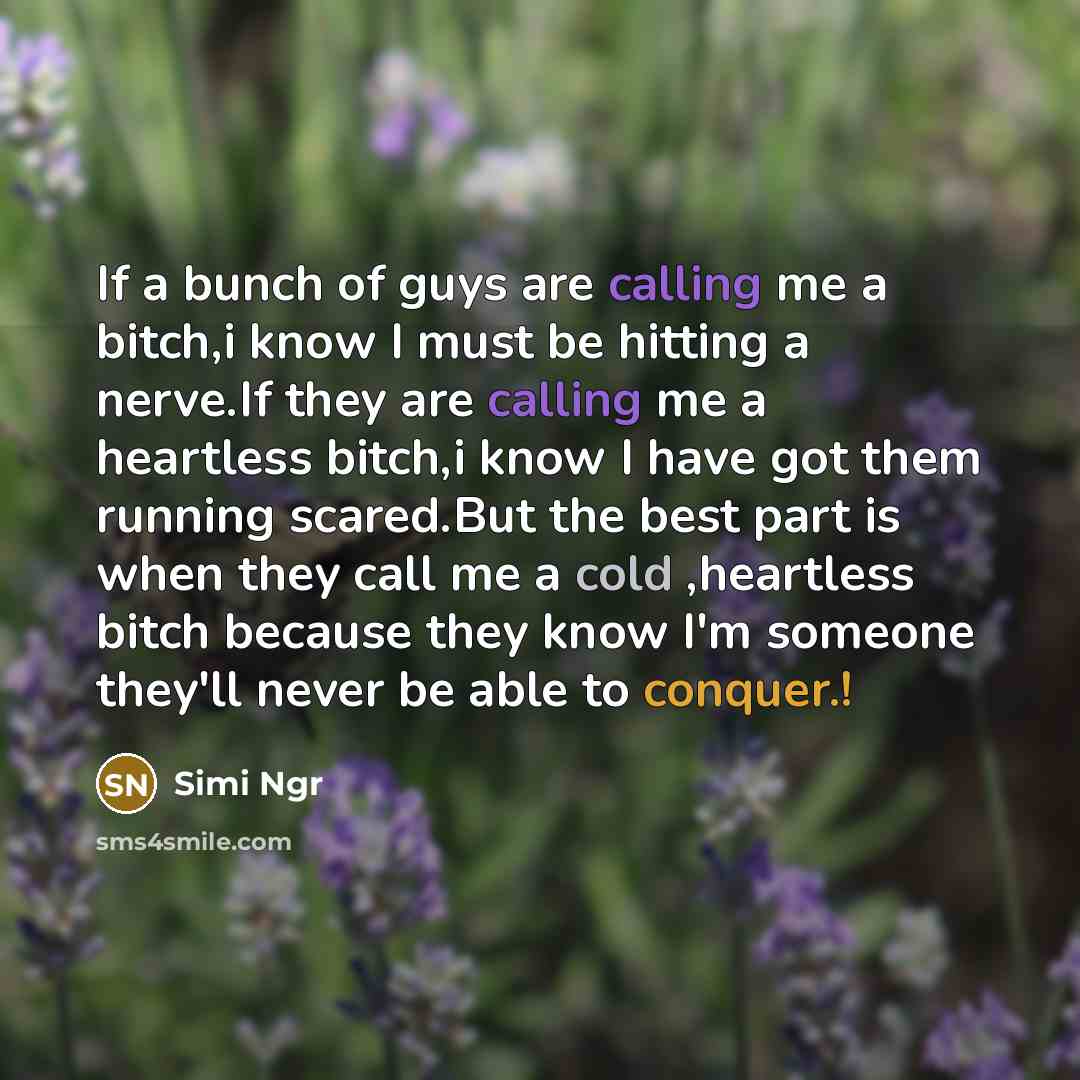 “If a bunch of guys are calling me a bitch,i know I must be hitting a nerve.If they are calling me a heartless bitch,i know I have got them running scared.But the best part is when they call me a cold ,heartless bitch because they know I'm someone they'll never be able to conquer.!” quote by Simi Ngr