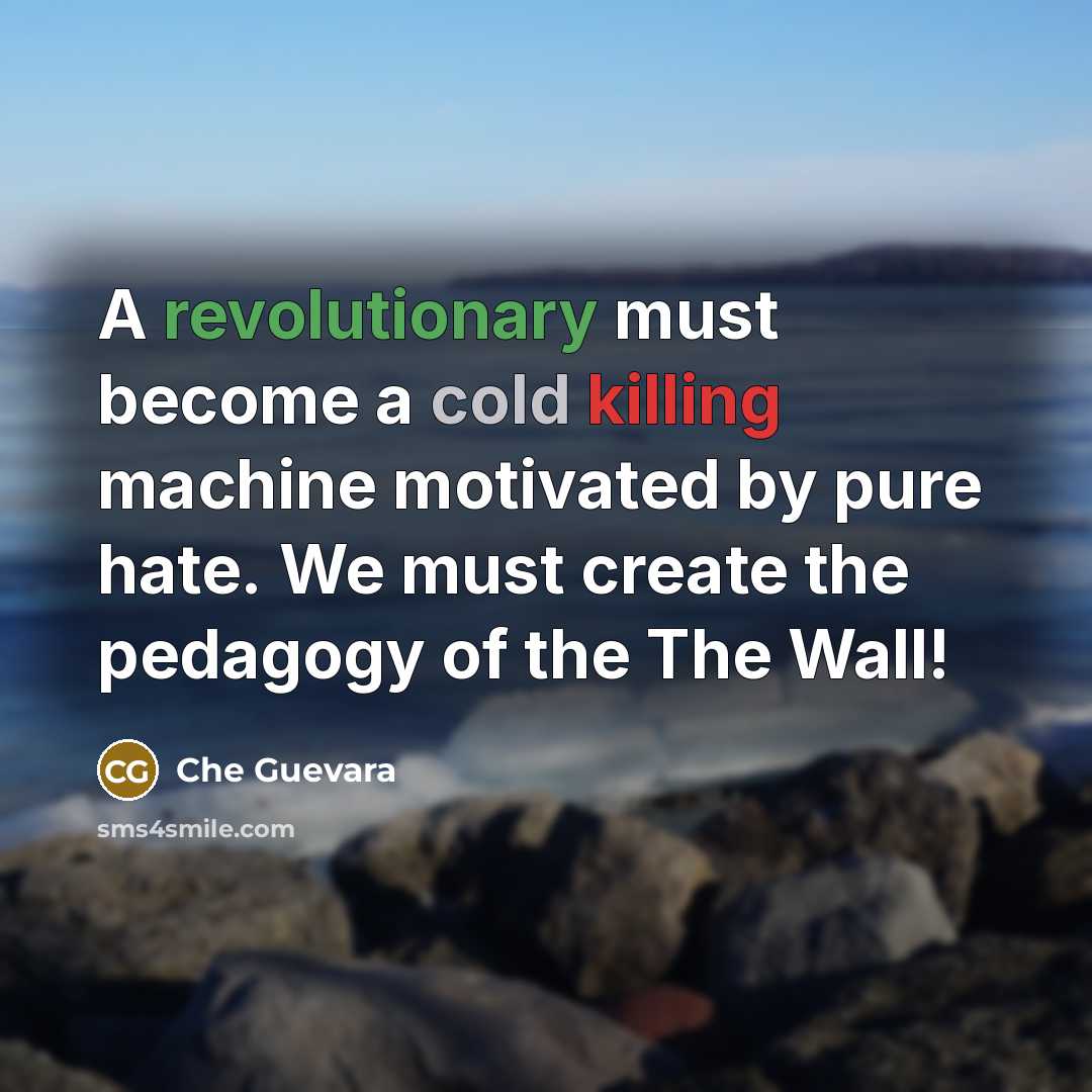 “A revolutionary must become a cold killing machine motivated by pure hate. We must create the pedagogy of the The Wall!” quote by Che Guevara