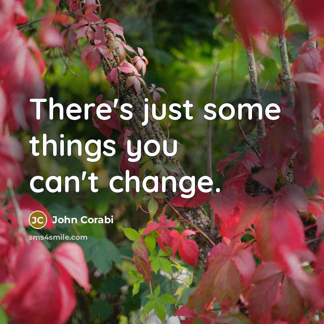 “There's just some things you can't change.” quote by John Corabi