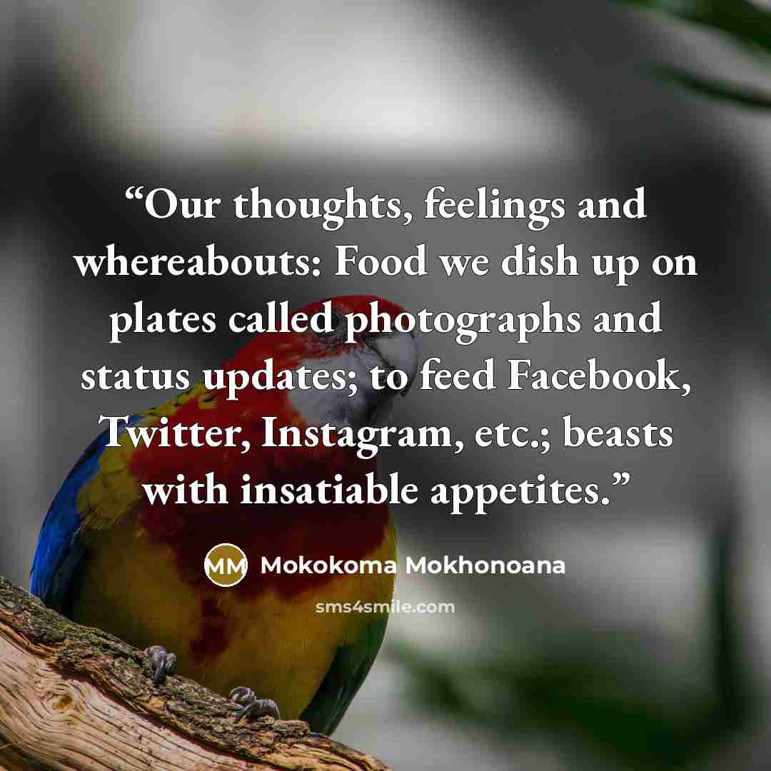 “Our thoughts, feelings and whereabouts: Food we dish up on plates called photographs and status updates; to feed Facebook, Twitter, Instagram, etc.; beasts with insatiable appetites.” quote by Mokokoma Mokhonoana