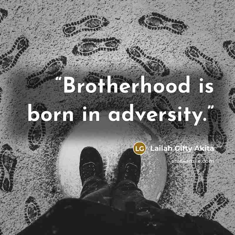 “Brotherhood is born in adversity.” quote by Lailah Gifty Akita