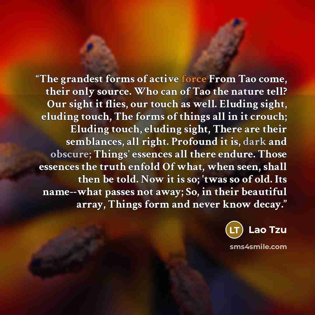 “The grandest forms of active force From Tao come, their only source. Who can of Tao the nature tell? Our sight it flies, our touch as well. Eluding sight, eluding touch, The forms of things all in it crouch; Eluding touch, eluding sight, There are their semblances, all right. Profound it is, dark…” quote by Lao Tzu