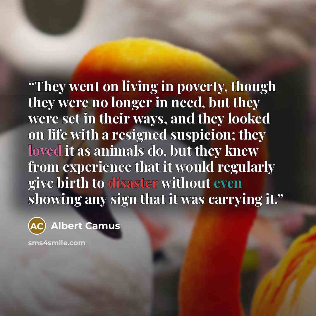 “They went on living in poverty, though they were no longer in need, but they were set in their ways, and they looked on life with a resigned suspicion; they loved it as animals do, but they knew from experience that it would regularly give birth to disaster without even showing any sign that it…” quote by Albert Camus