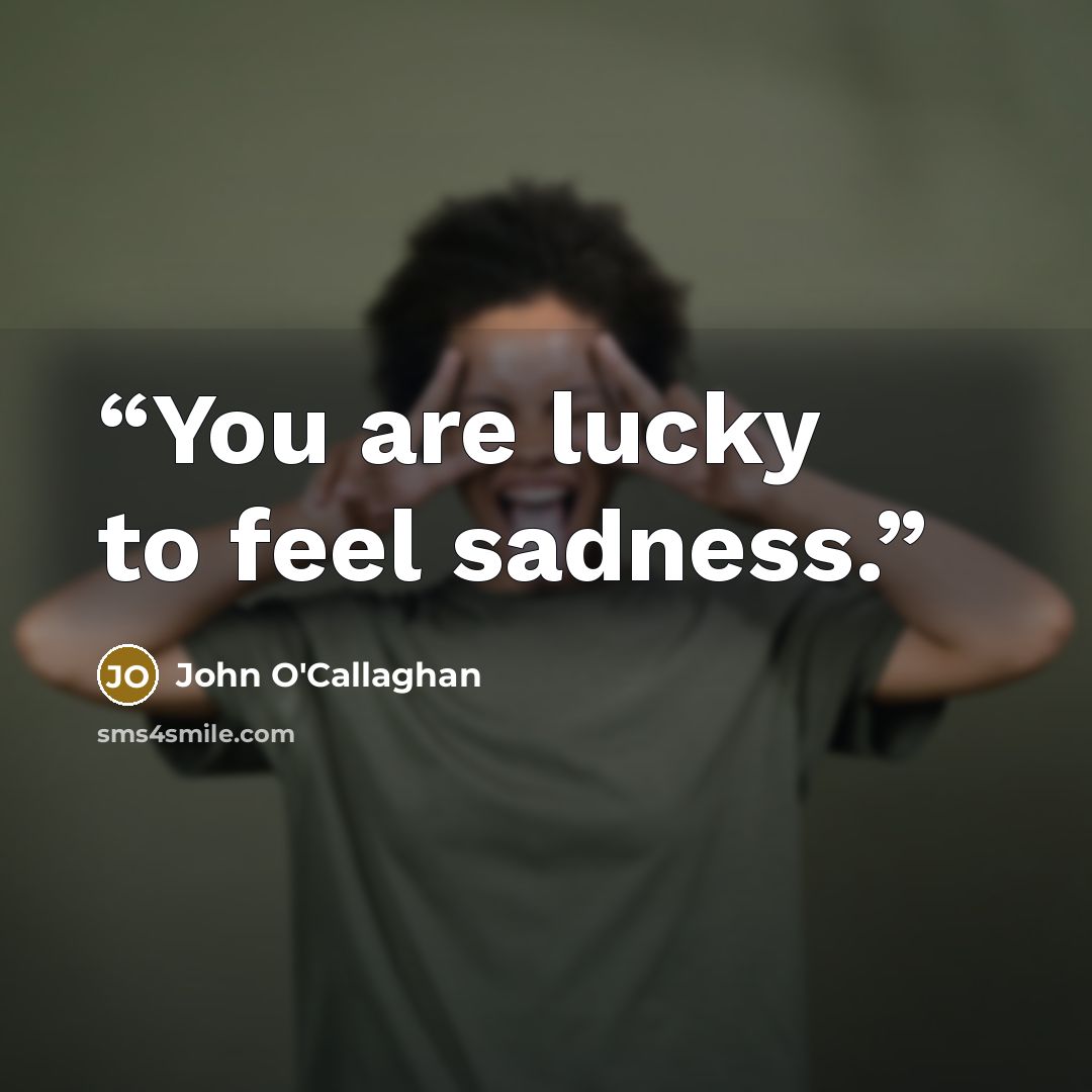 “You are lucky to feel sadness.” quote by John O'Callaghan