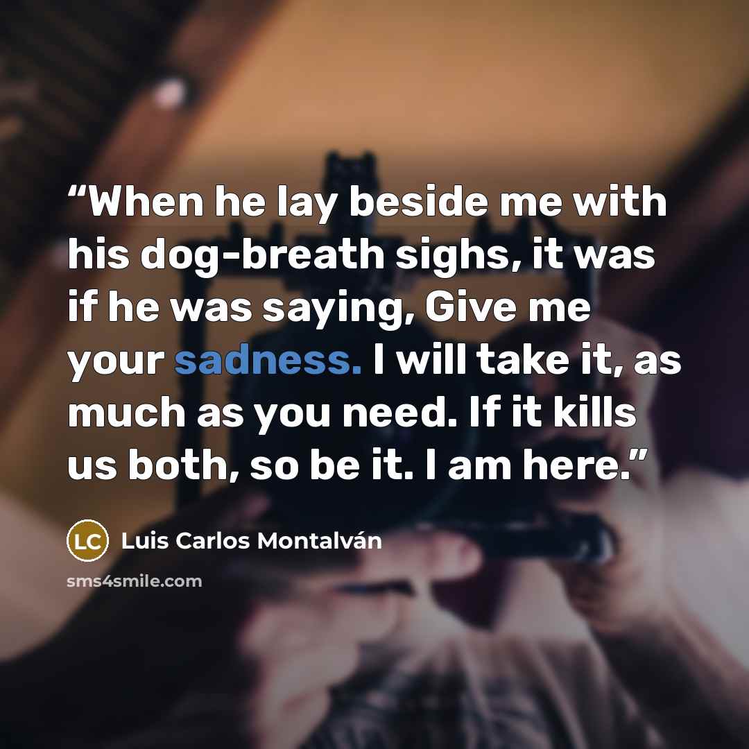 “When he lay beside me with his dog-breath sighs, it was if he was saying, Give me your sadness. I will take it, as much as you need. If it kills us both, so be it. I am here.” quote by Luis Carlos Montalván