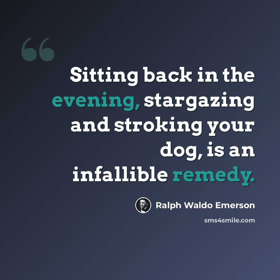 “Sitting back in the evening, stargazing and stroking your dog, is an infallible remedy.” quote by Ralph Waldo Emerson
