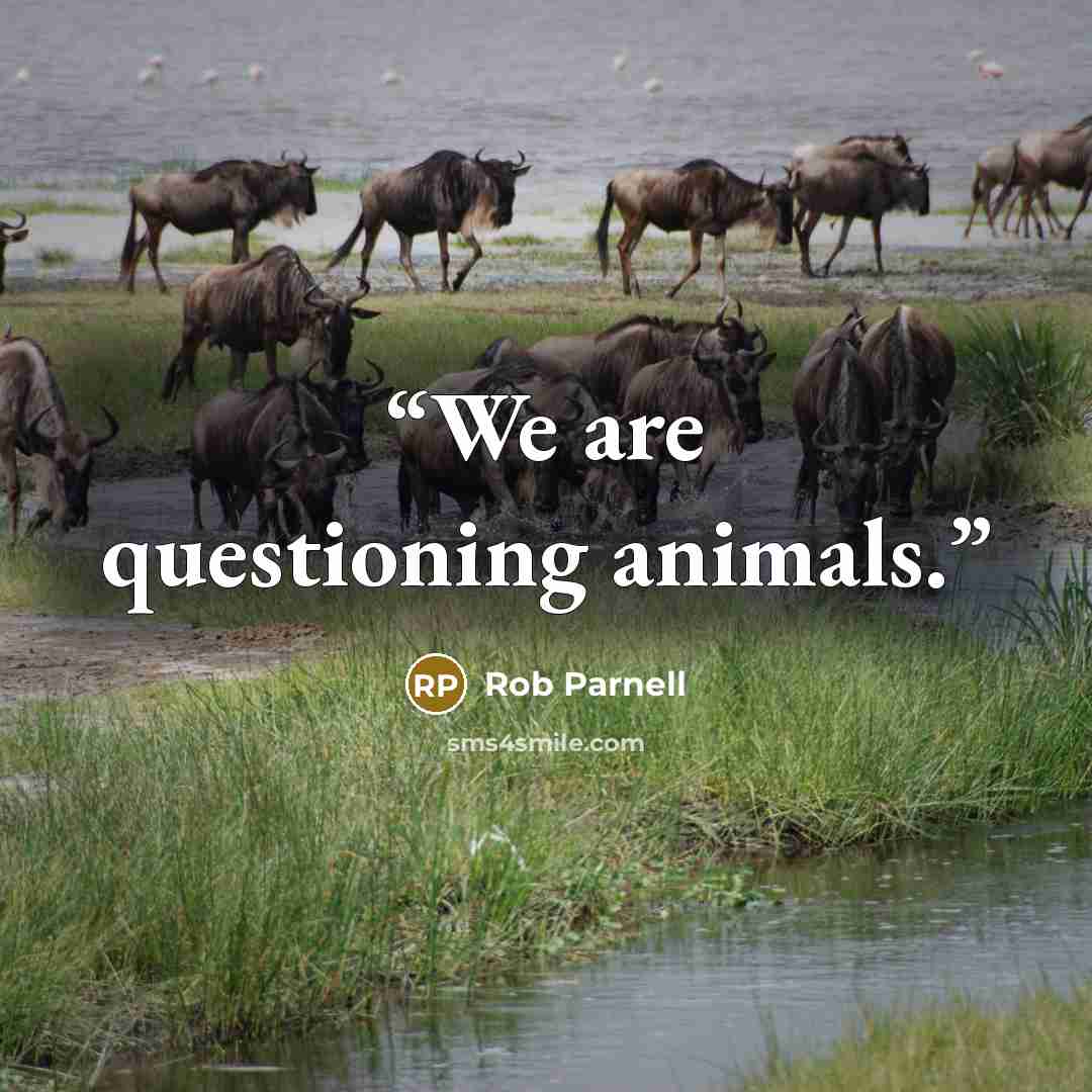 “We are questioning animals.” quote by Rob Parnell