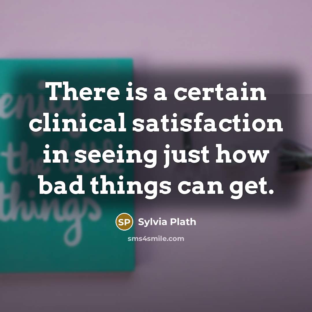 “There is a certain clinical satisfaction in seeing just how bad things can get.” quote by Sylvia Plath