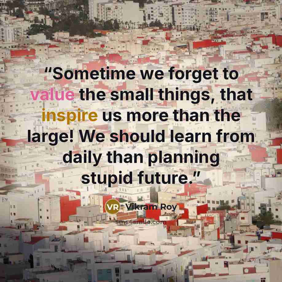 “Sometime we forget to value the small things, that inspire us more than the large! We should learn from daily than planning stupid future.” quote by Vikram Roy
