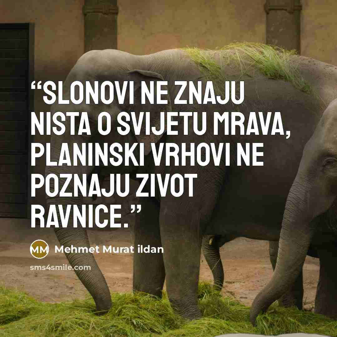 “Slonovi ne znaju nistA o svijetu mrAvA, plAninski vrhovi ne poznAju zivot rAvnice.” quote by Mehmet Murat ildan