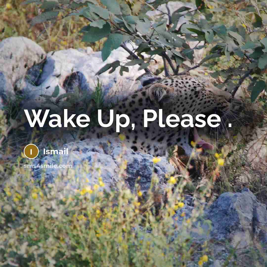“Wake Up, Please .” quote by Ismail