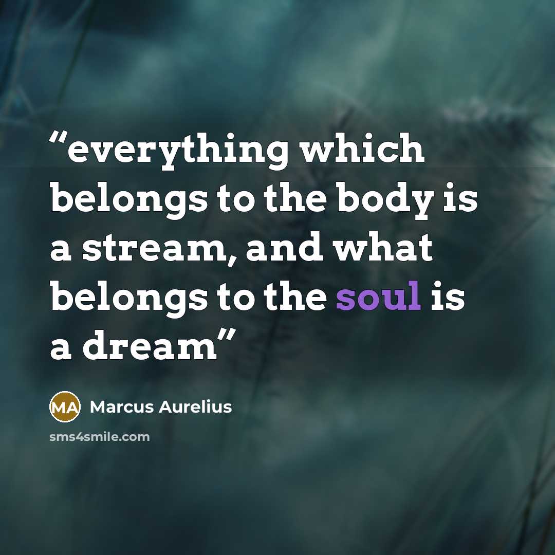 “everything which belongs to the body is a stream, and what belongs to the soul is a dream” quote by Marcus Aurelius