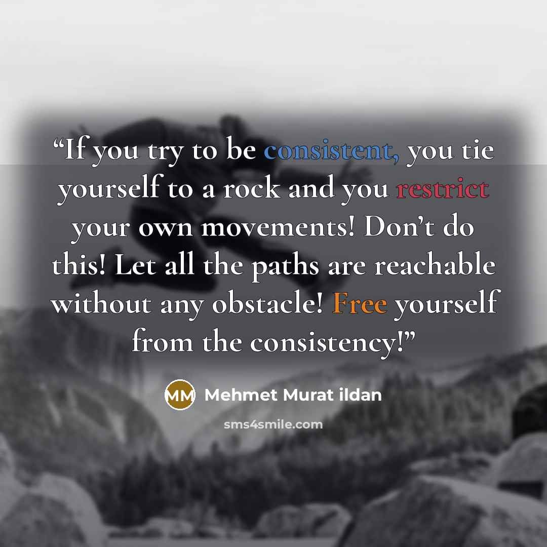 “If you try to be consistent, you tie yourself to a rock and you restrict your own movements! Don’t do this! Let all the paths are reachable without any obstacle! Free yourself from the consistency!” quote by Mehmet Murat ildan
