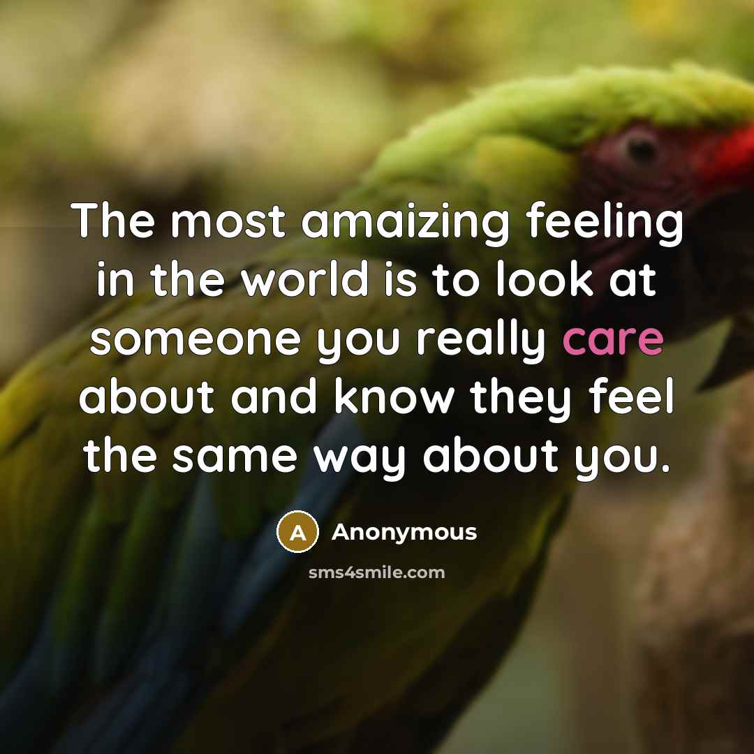 “The most amaizing feeling in the world is to look at someone you really care about and know they feel the same way about you.” quote by Anonymous
