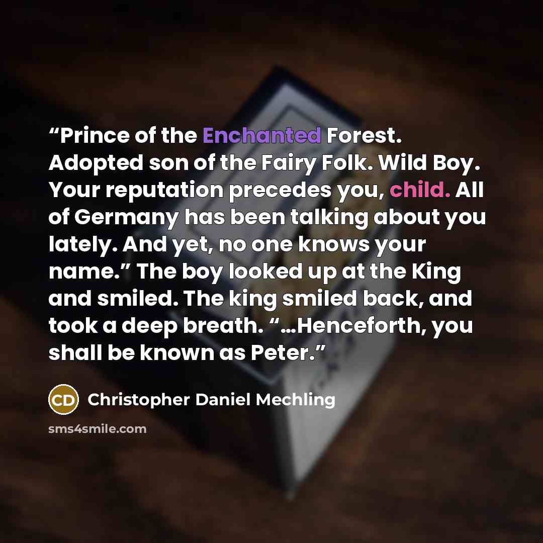 “Prince of the Enchanted Forest. Adopted son of the Fairy Folk. Wild Boy. Your reputation precedes you, child. All of Germany has been talking about you lately. And yet, no one knows your name.” The boy looked up at the King and smiled. The king smiled back, and took a deep breath. “…Henceforth…” quote by Christopher Daniel Mechling