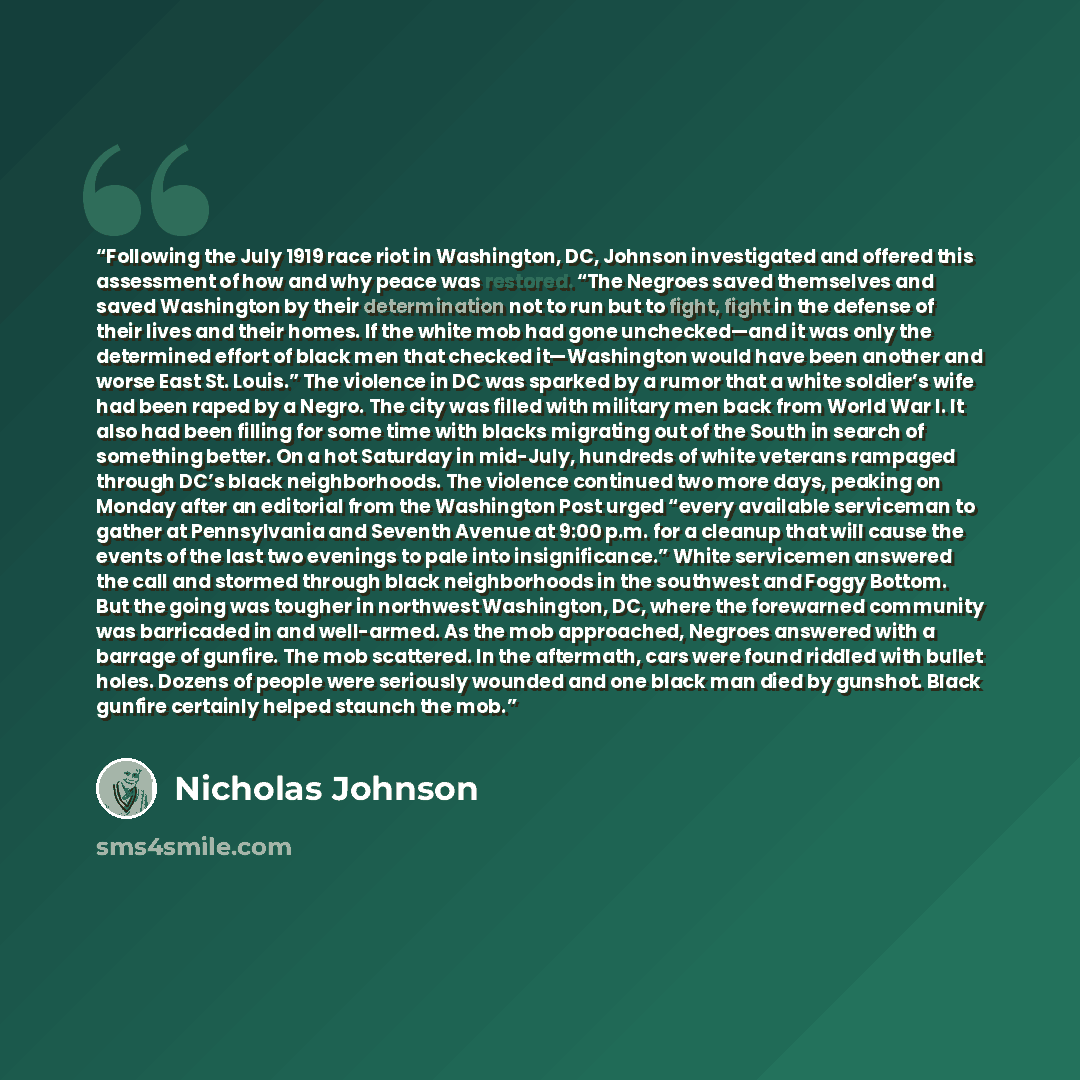 “Following the July 1919 race riot in Washington, DC, Johnson investigated and offered this assessment of how and why peace was restored. “The Negroes saved themselves and saved Washington by their determination not to run but to fight, fight in the defense of their lives and their homes. If the…” quote by Nicholas Johnson