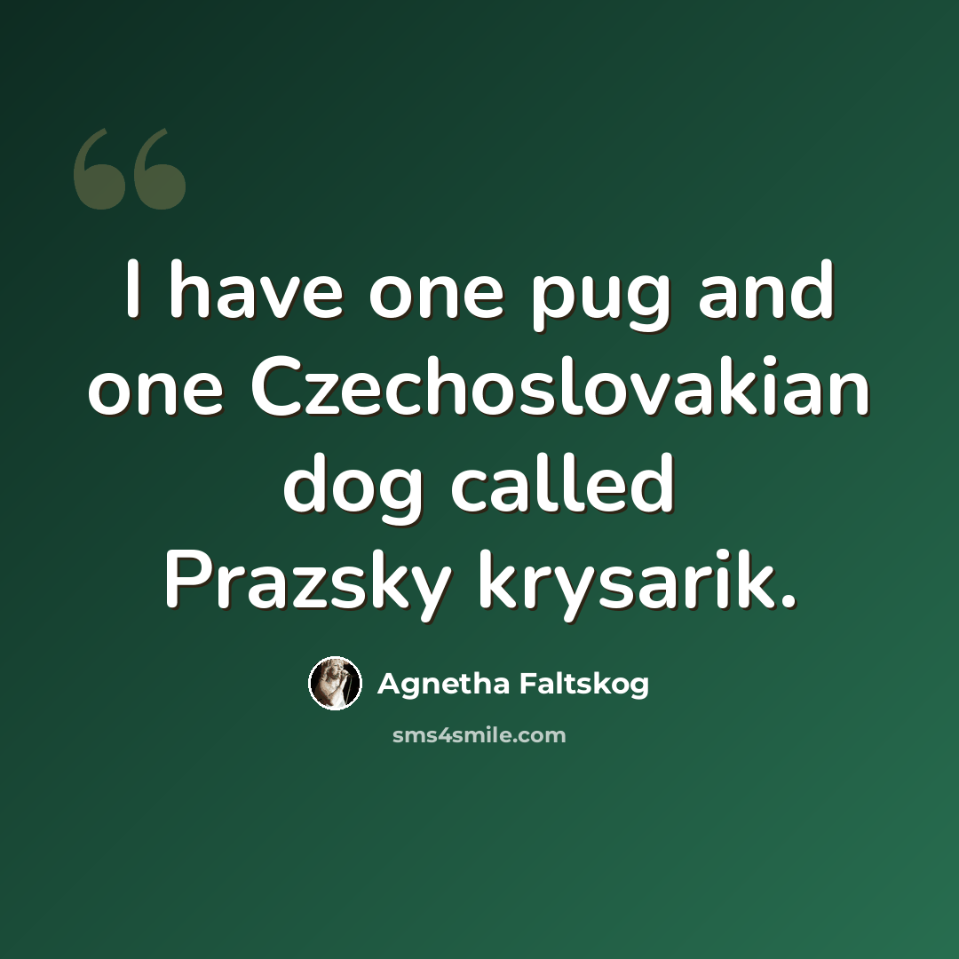 “I have one pug and one Czechoslovakian dog called Prazsky krysarik.” quote by Agnetha Faltskog