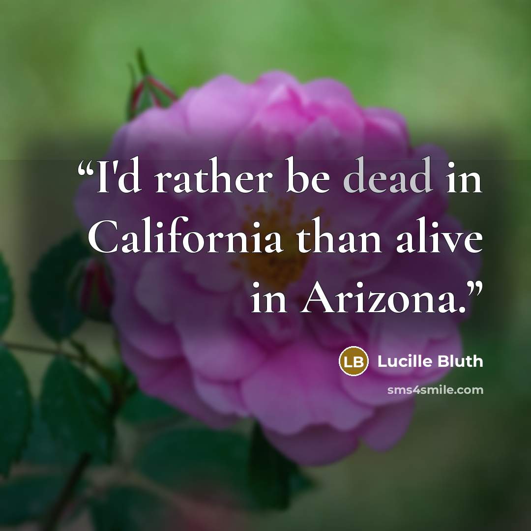 “I'd rather be dead in California than alive in Arizona.” quote by Lucille Bluth