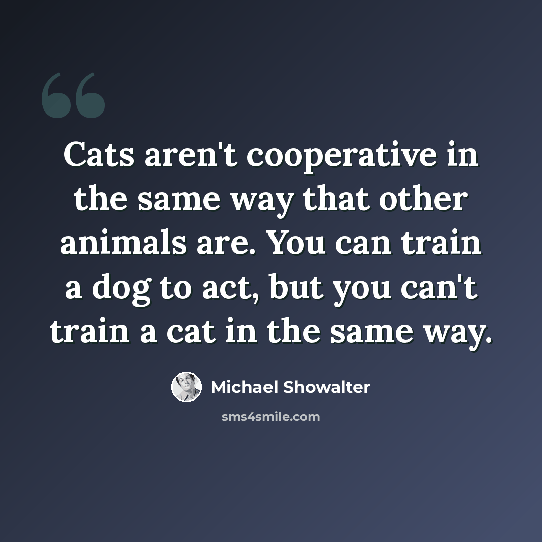 “Cats aren't cooperative in the same way that other animals are. You can train a dog to act, but you can't train a cat in the same way.” quote by Michael Showalter