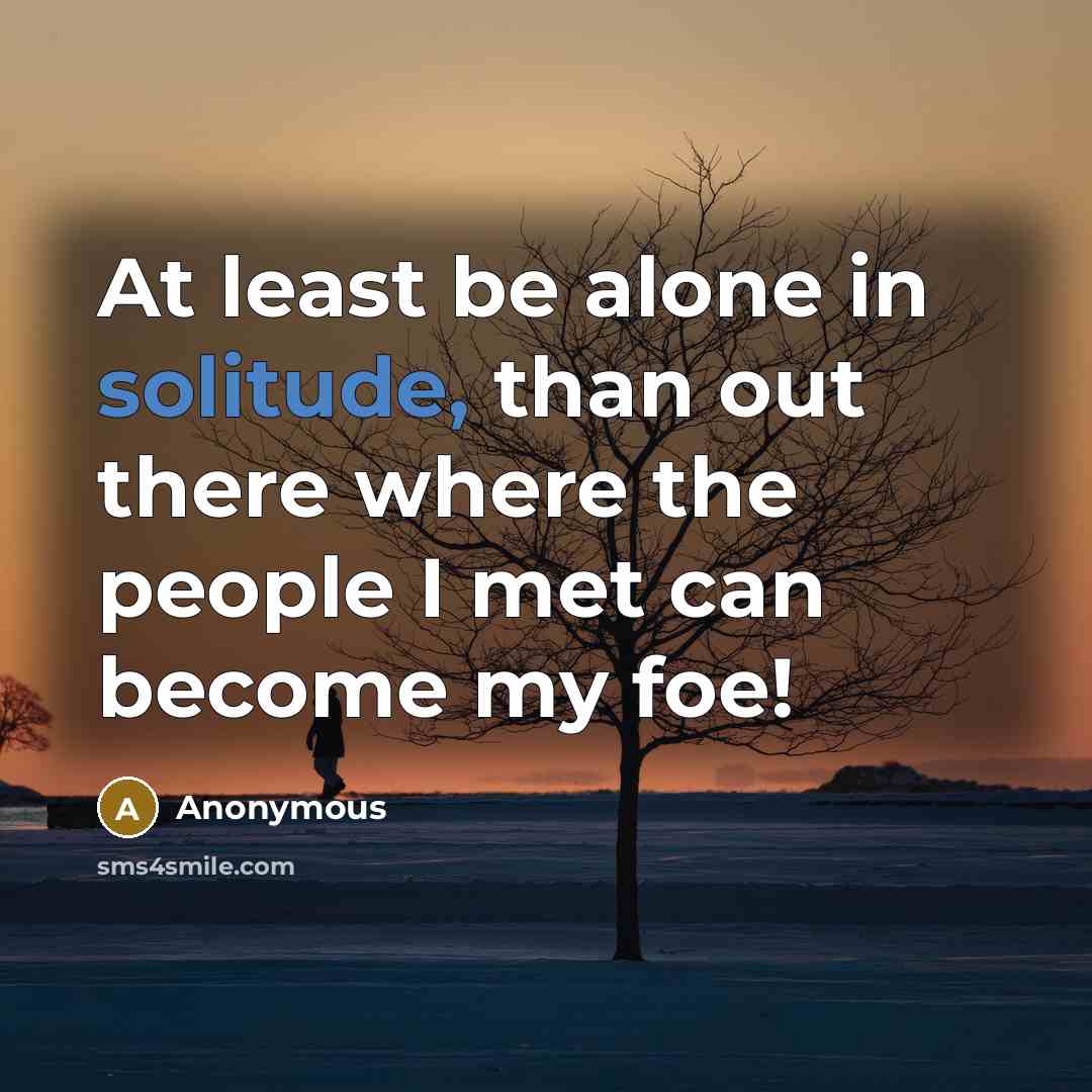 “At least be alone in solitude, than out there where the people I met can become my foe!” quote by Anonymous