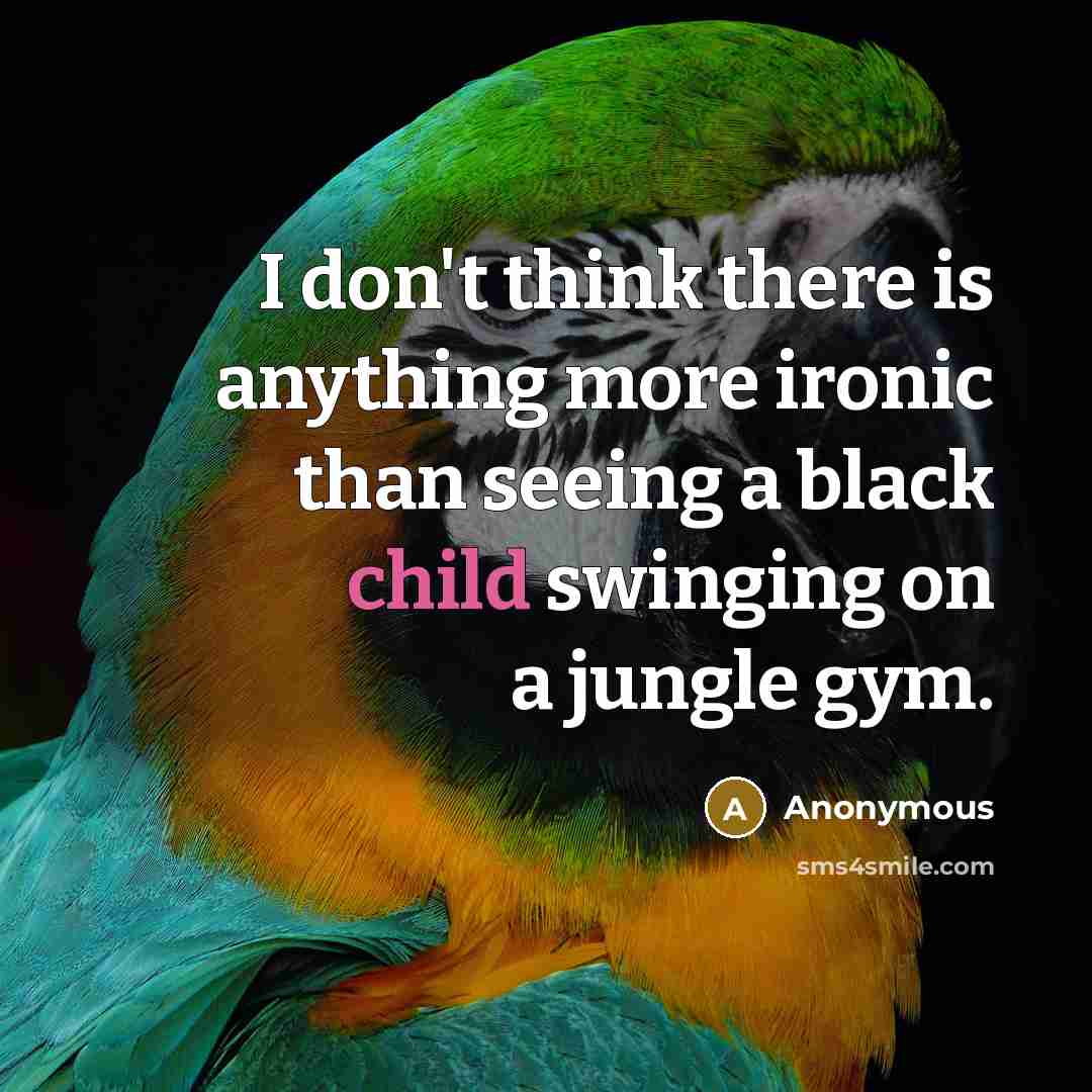 “I don't think there is anything more ironic than seeing a black child swinging on a jungle gym.” quote by Anonymous