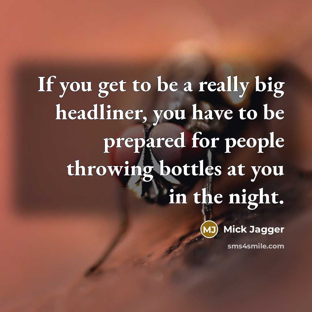 “If you get to be a really big headliner, you have to be prepared for people throwing bottles at you in the night.” quote by Mick Jagger