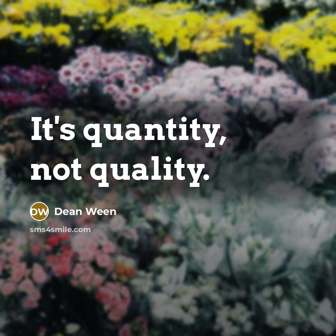 “It's quantity, not quality.” quote by Dean Ween