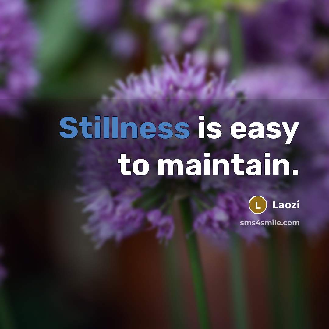 “Stillness is easy to maintain.” quote by Laozi